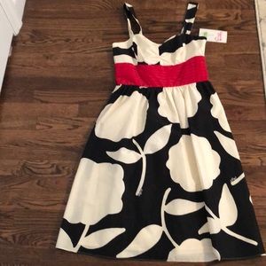 Lilly Pulitzer Jessica dress